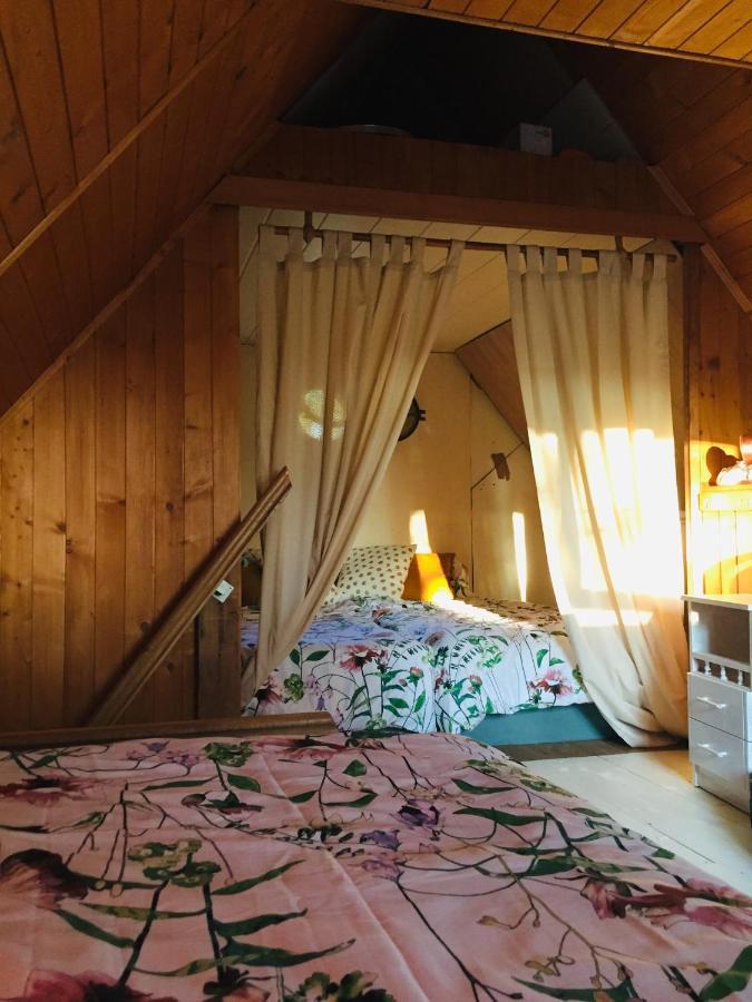 Domek Nad Jeziorem Otalzyno Pomieczyno エクステリア 写真
